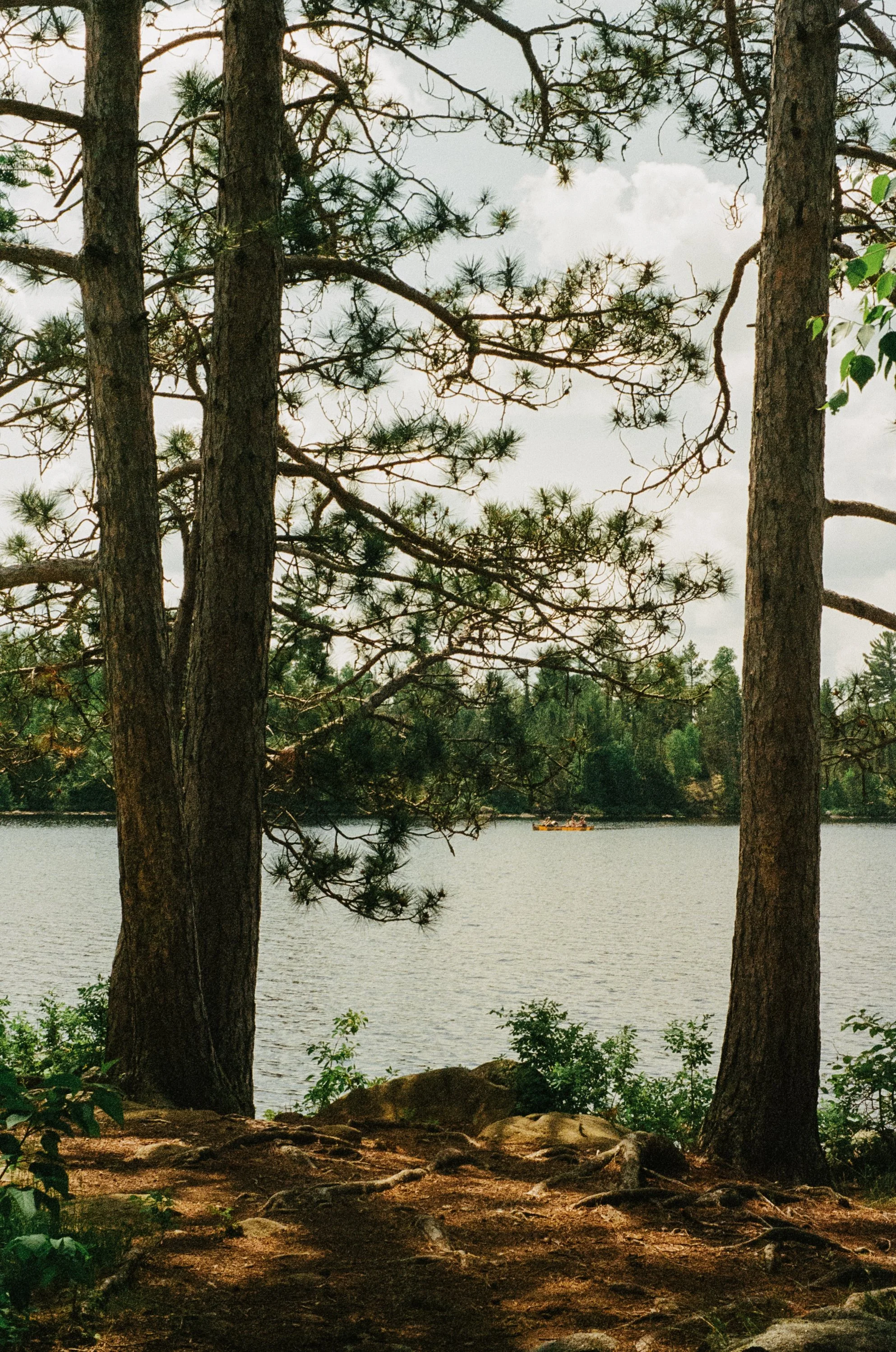 8323-15.jpg