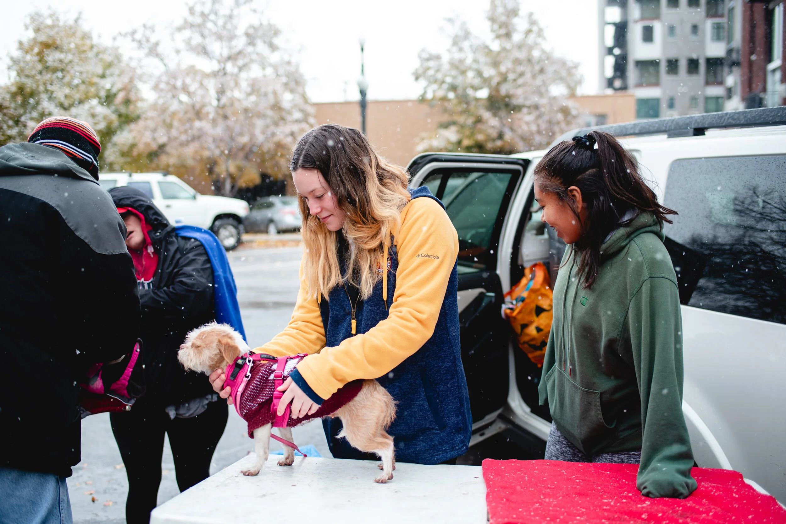 Homeless Pets Project