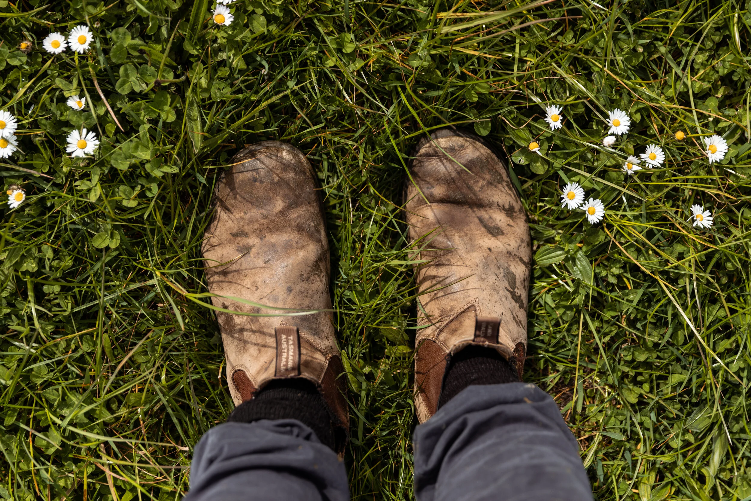 boots.jpg
