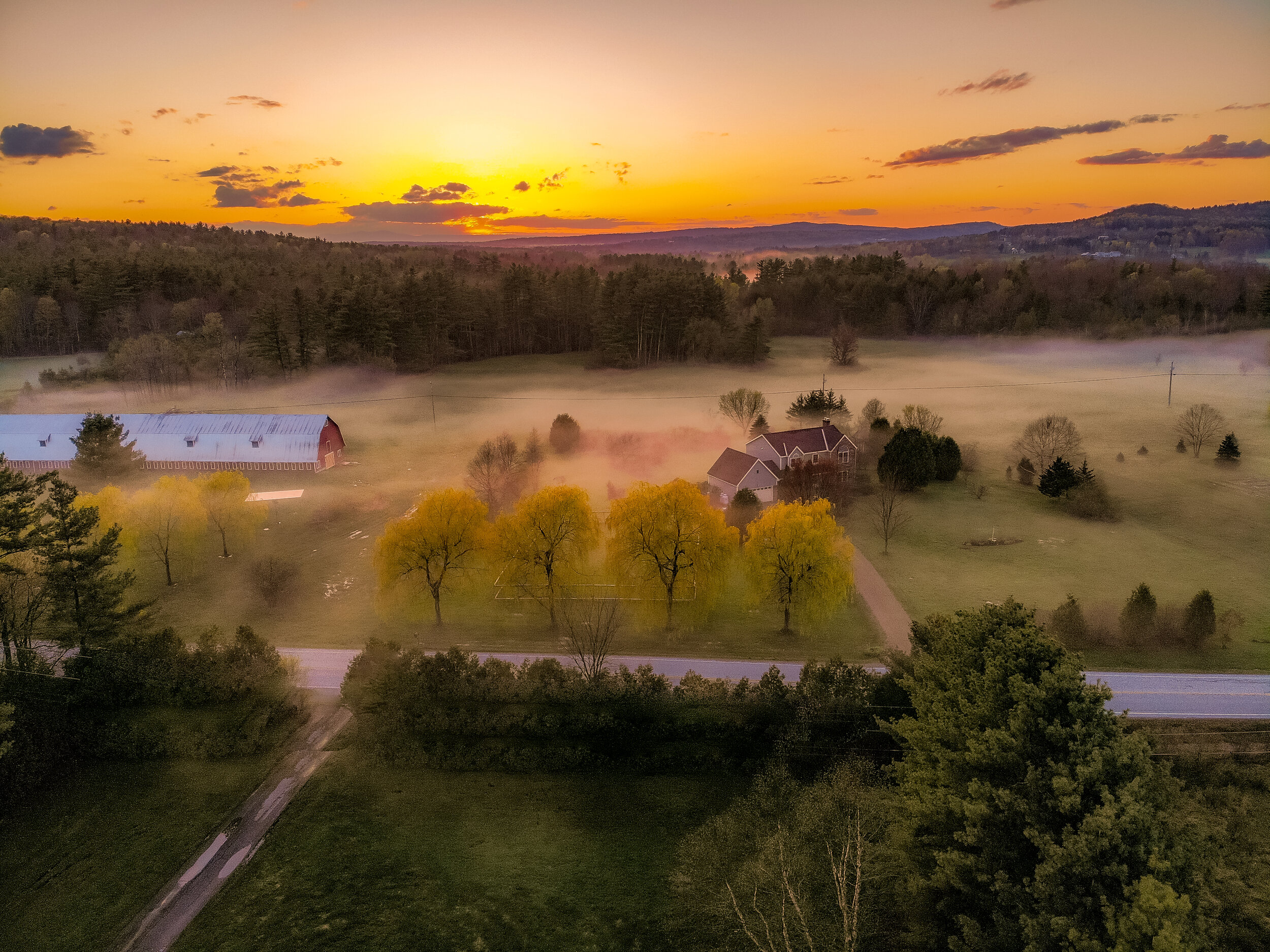 Foggy Spring Evening