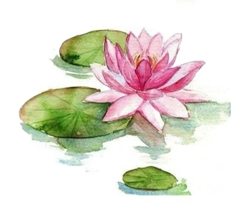 Lovely Lotus flower paint-and-sip at Moonshine and Co.