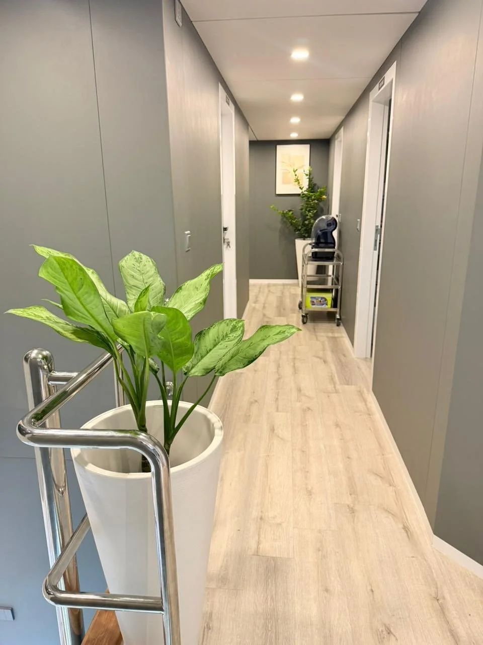 A hallway with grey walls, light wooden flooring, and white doors. Two potted plants, one large with green leaves near the foreground and another smaller in the background. A cart with a coffee machine and items underneath. A framed artwork on the wall at the end of the hall.