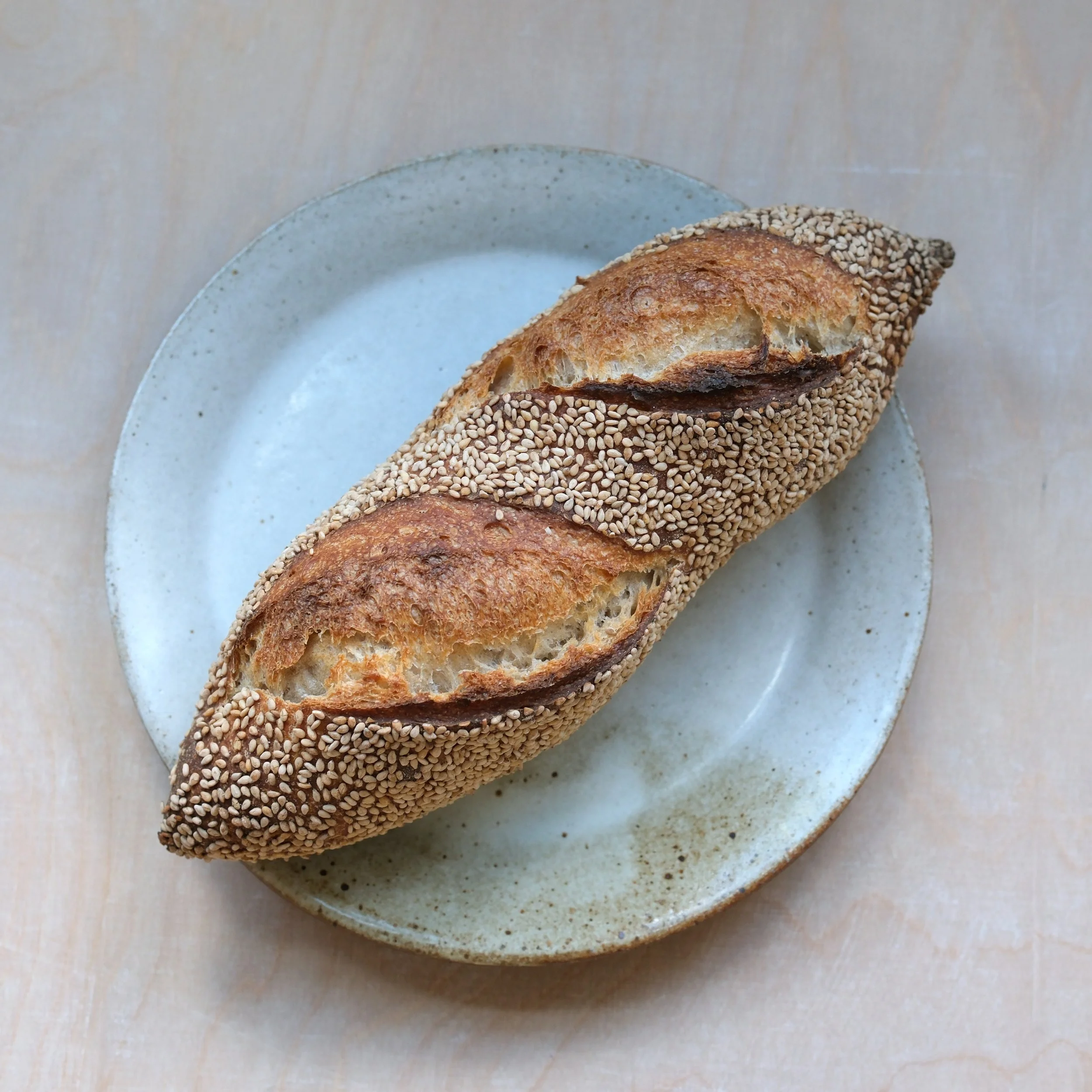 Sesame Mini