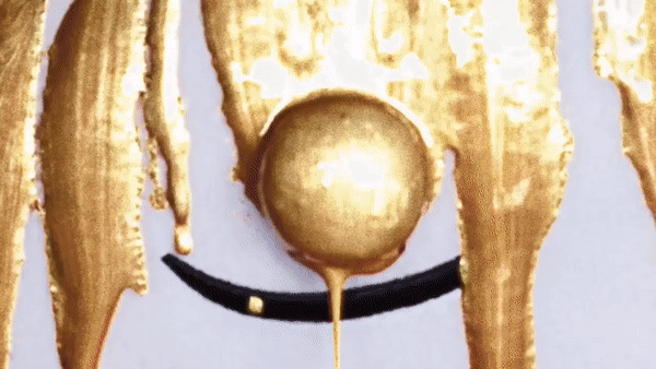ezgif.com-video-to-gif (11).gif