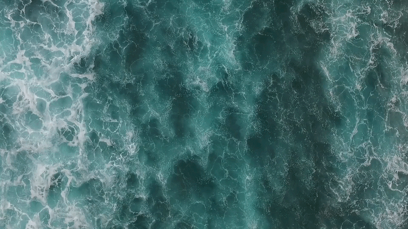 adidas_parley1080p-ezgif.com-video-to-gif-converter.gif