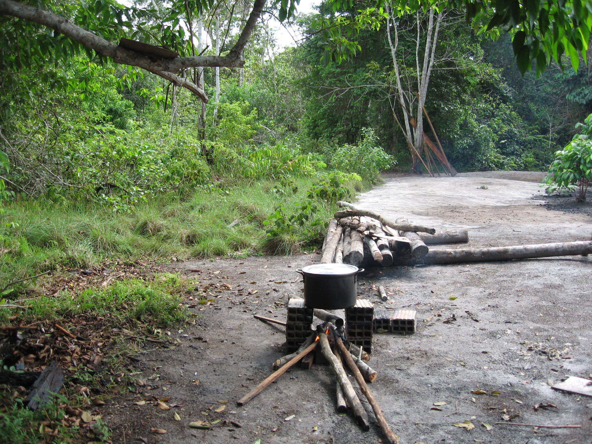 Cooking Ayahuasca