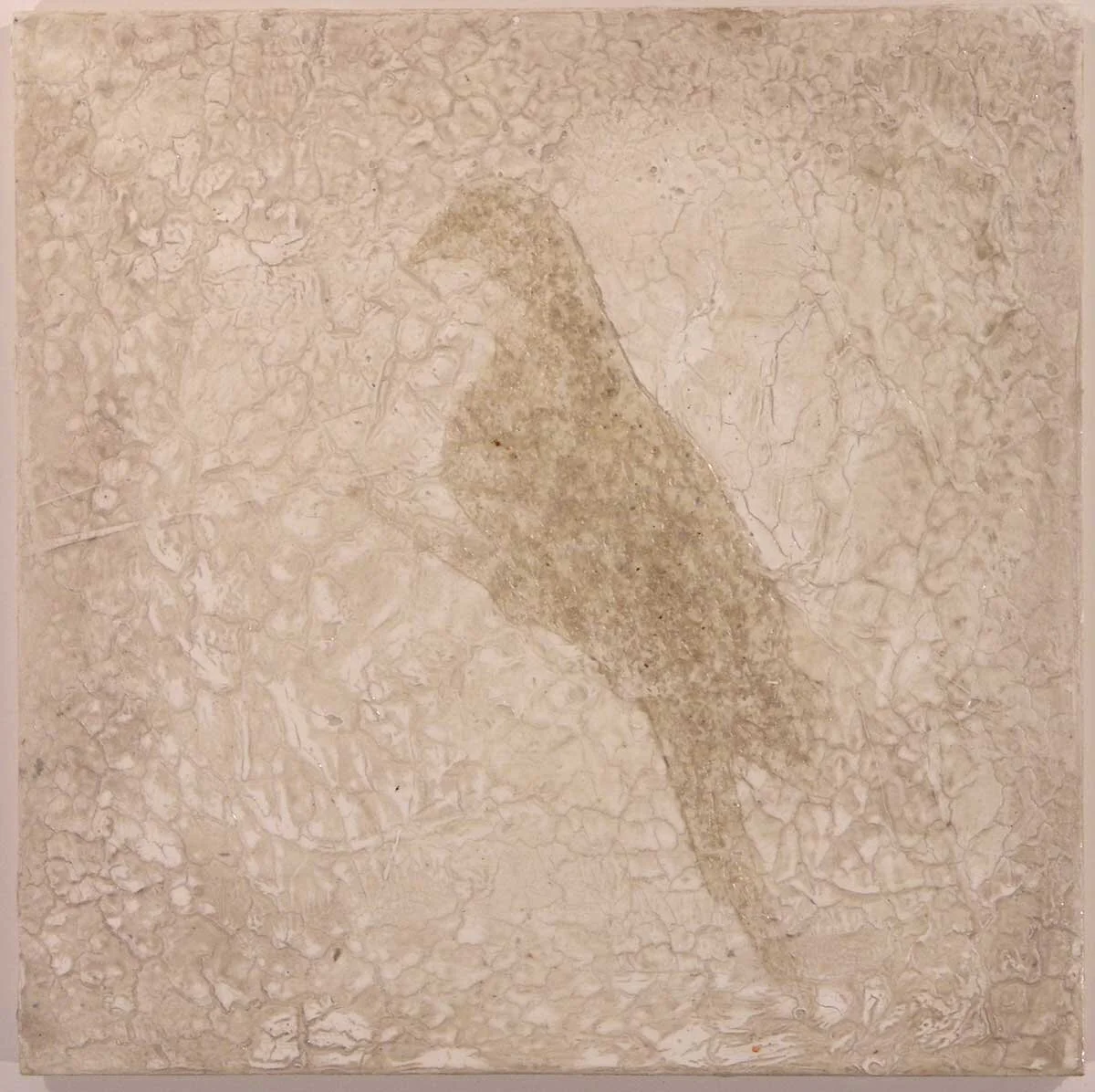 Last Passenger Pigeon Mount #1