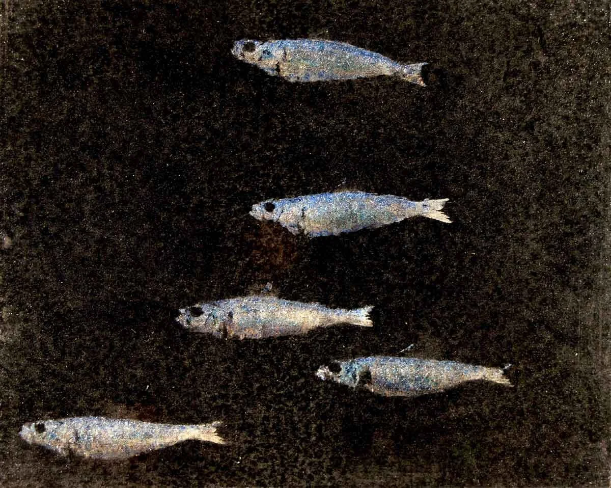 5 Herrings 