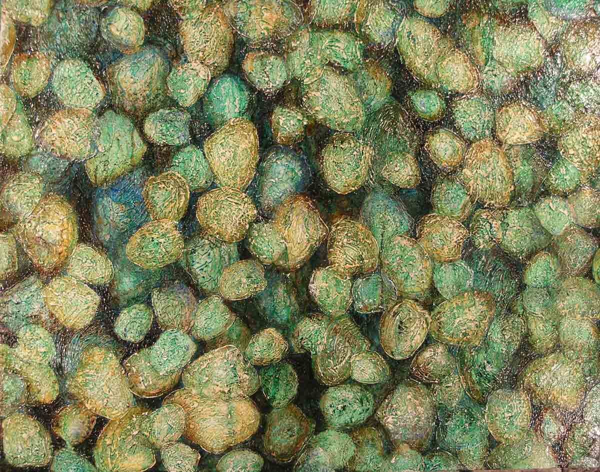 Large Clam Bed 