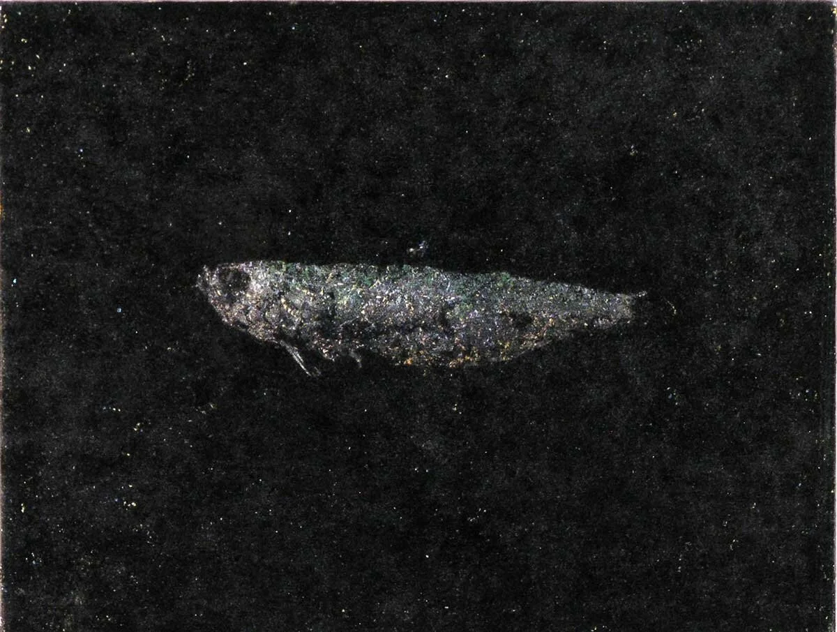Suspended  Herring 