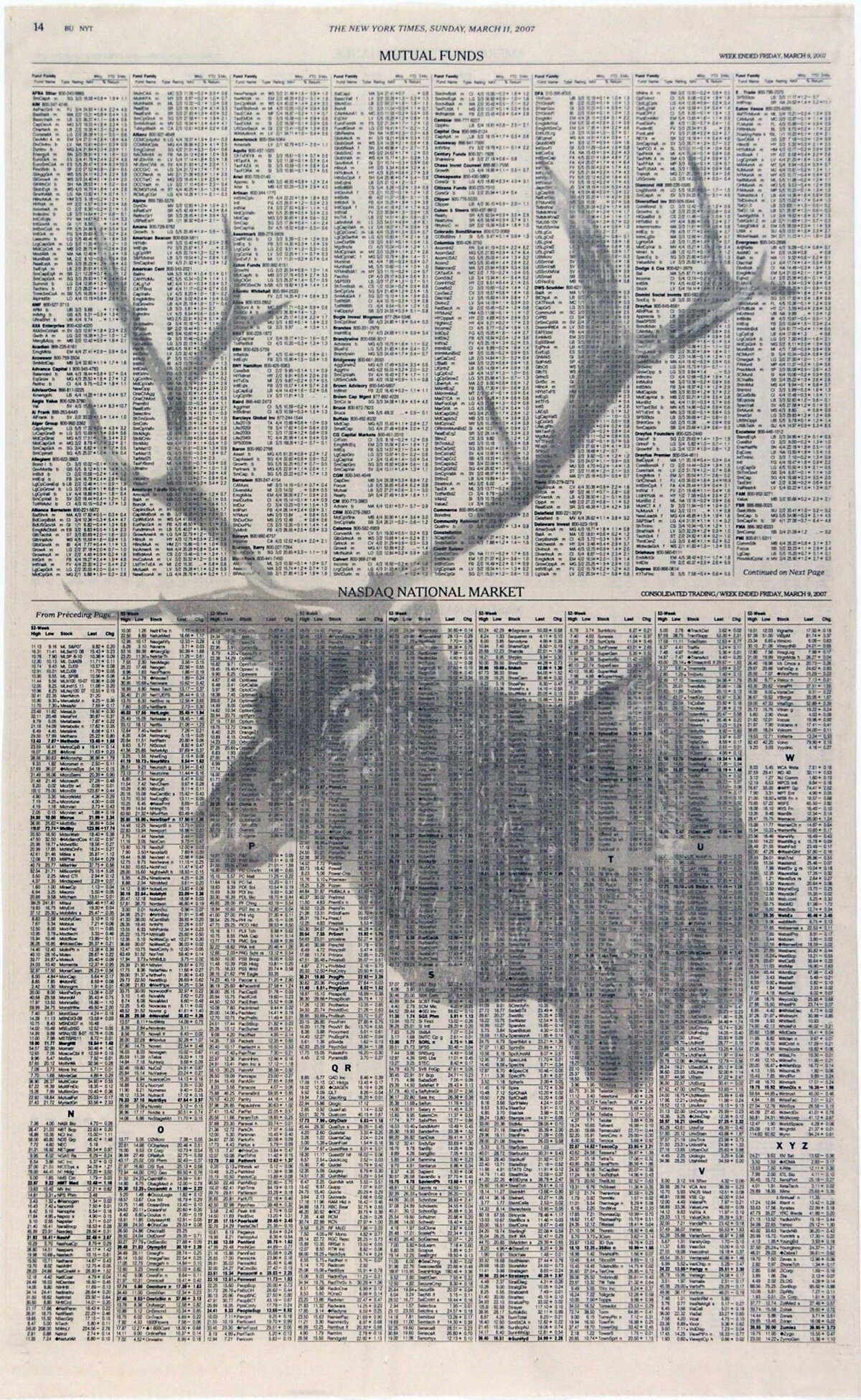 Elk Mount