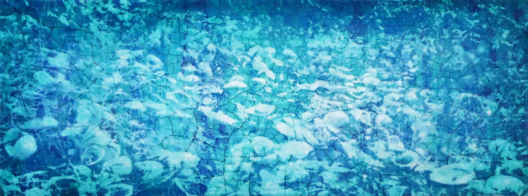 Daniels Island Midden in Blue.jpeg