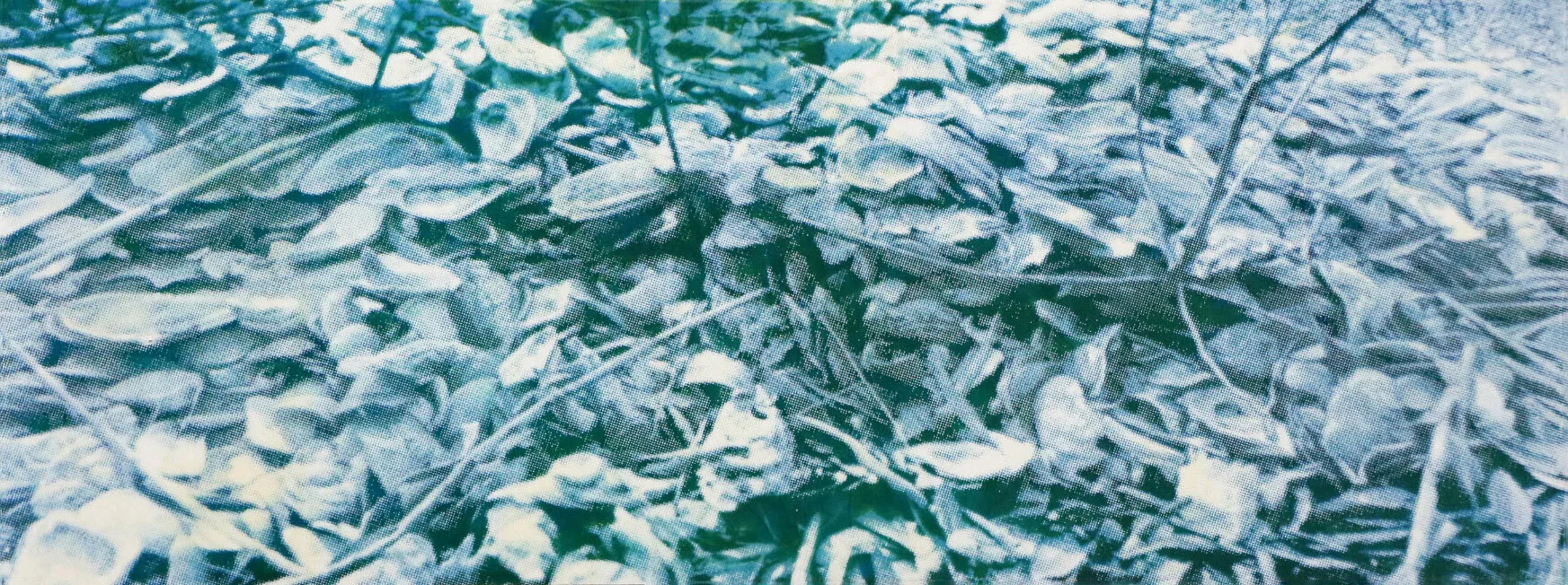 Green Oyster Midden.jpeg