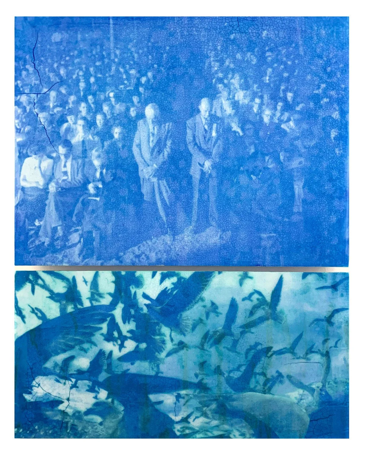 untitled-2.jpg