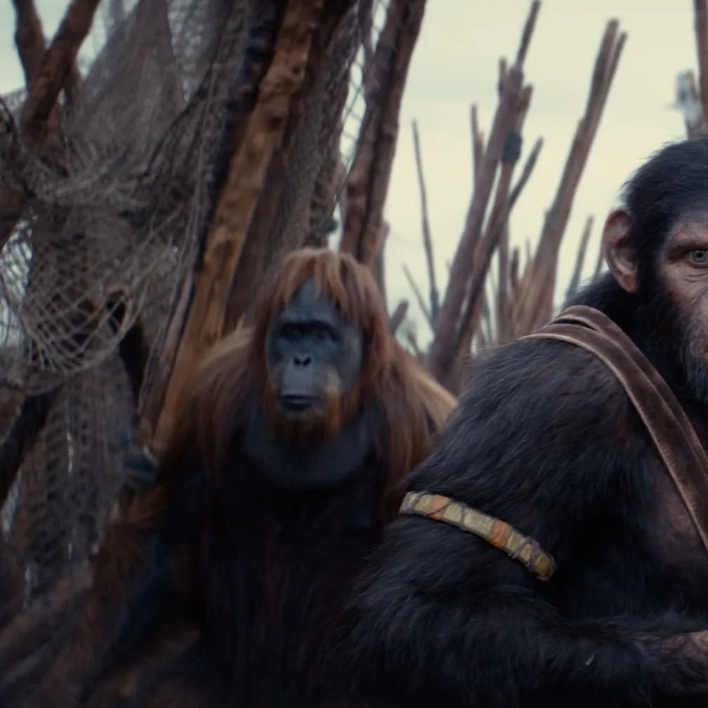 WHAT A WONDERFUL DAY! Mike and Glen went to go see the latest installment of the Planet of the Apes series. Check out their thoughts in this video!

https://youtu.be/Bwbqu5zldFI?si=x0U1vVwtVXUefJfz

#movie #film #review #podcast #PlanetOfTheApes #Kin