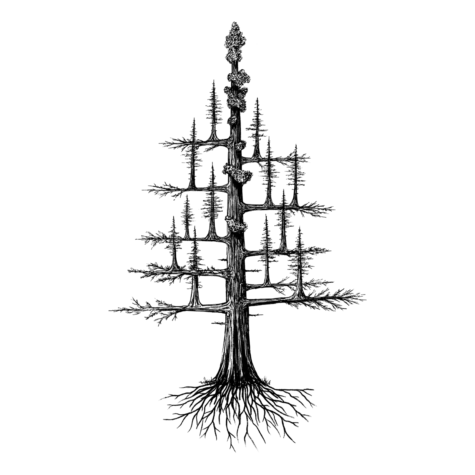 1600x1600 Tree Logo.png