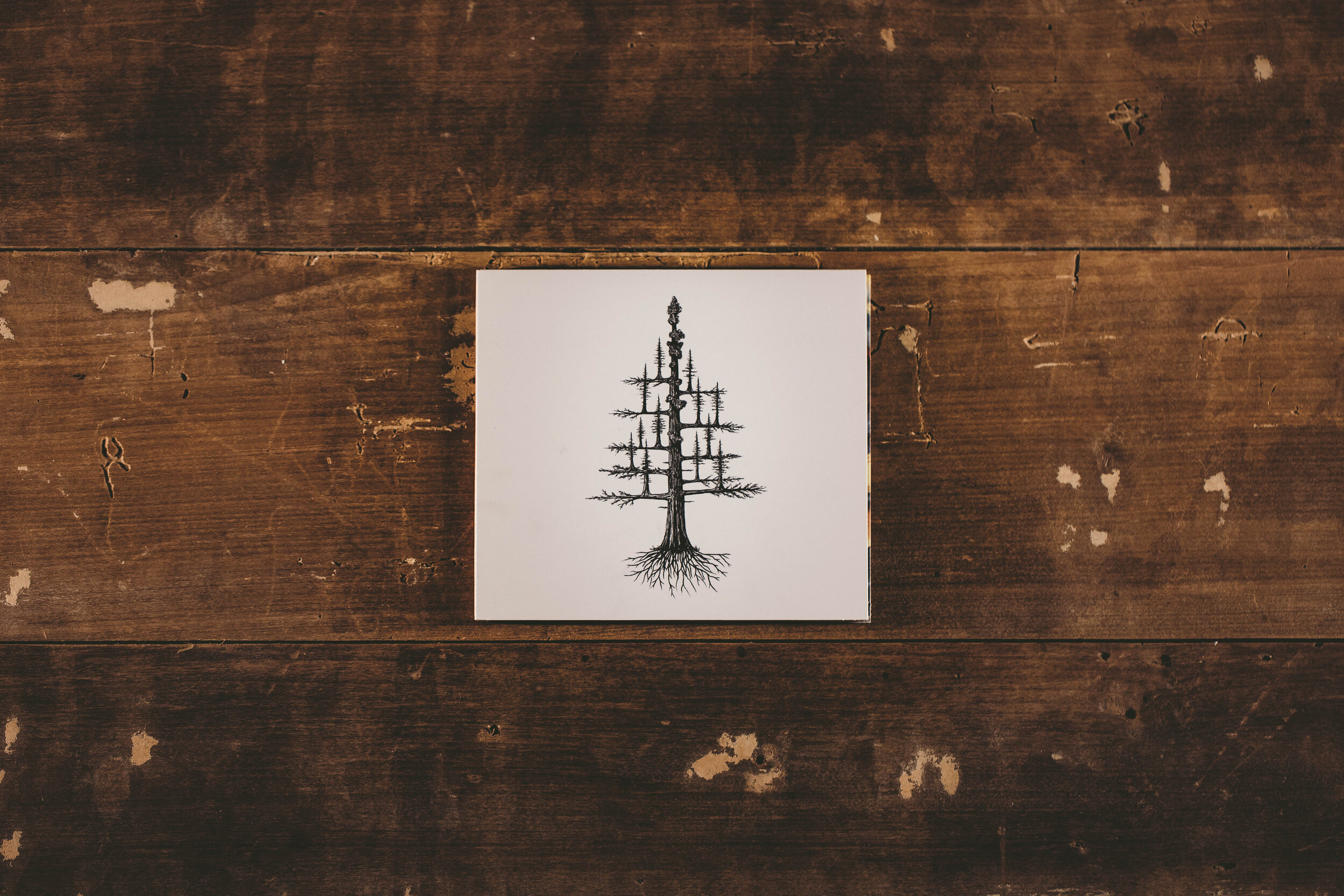 Finding Home - CD