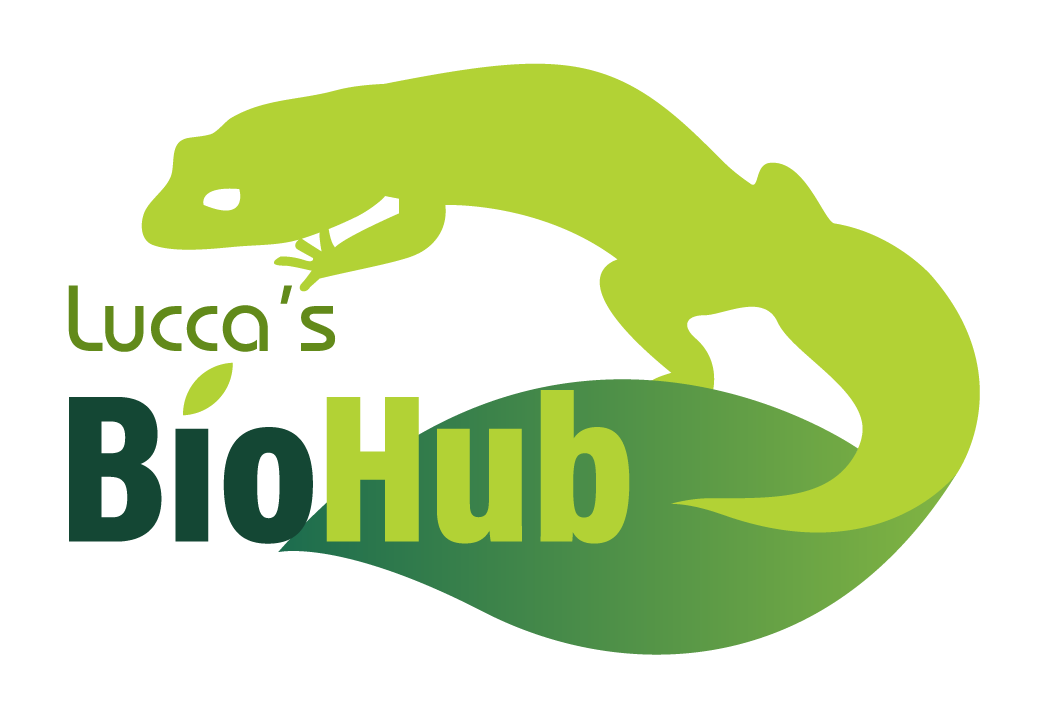 Lucca&#39;s BioHub