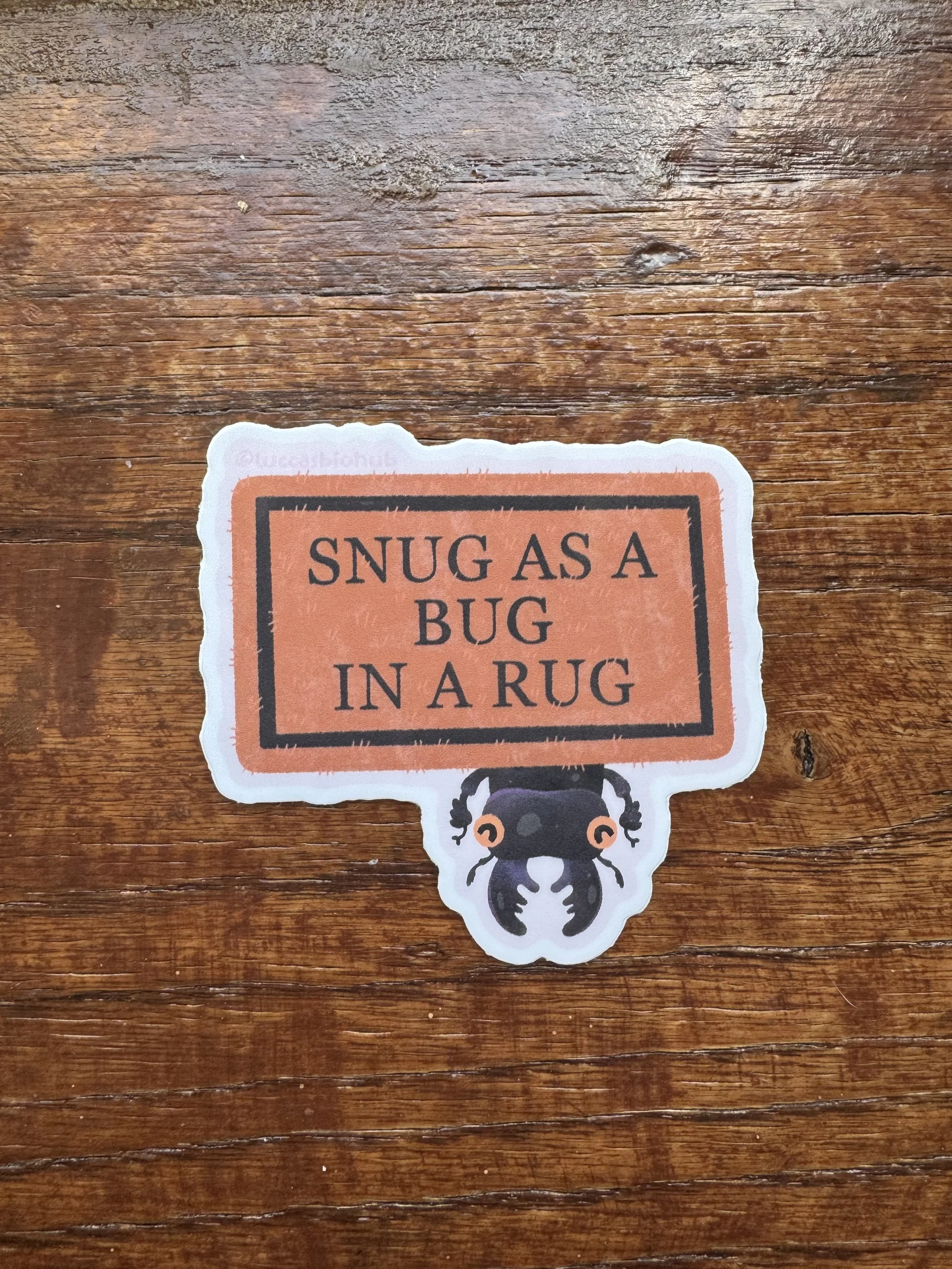 Beef sticker. "Snug as a Bug in a Rug"