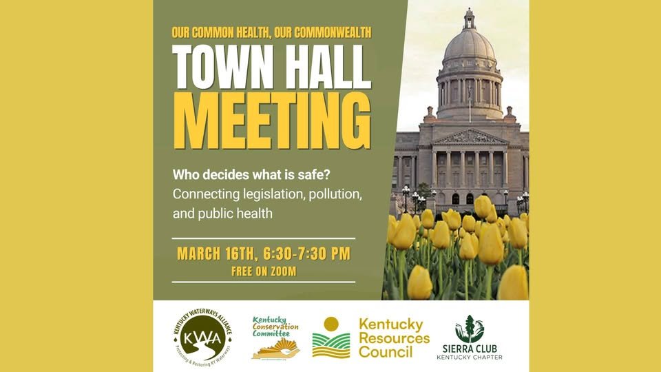 Town Hall Meeting: Who Decides What's Safe?
