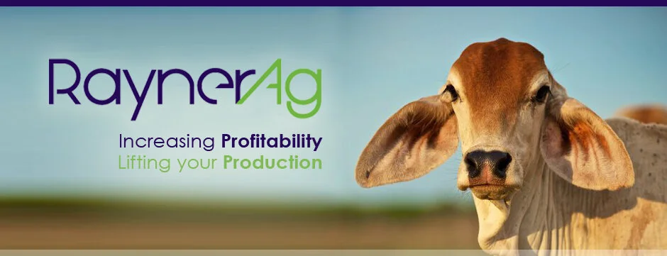 profitability.jpg