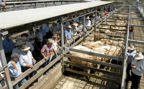 Copy of LNS_05-09-2012_EGN_09_LIS040912CASINOSALES01_fct1024x630x105_t460.jpg