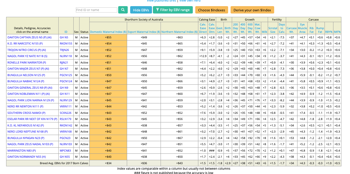 Screen Shot 2019-07-04 at 7.17.52 pm.png