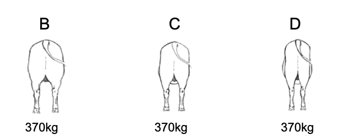 Screen Shot 2019-06-14 at 12.57.55 pm.png