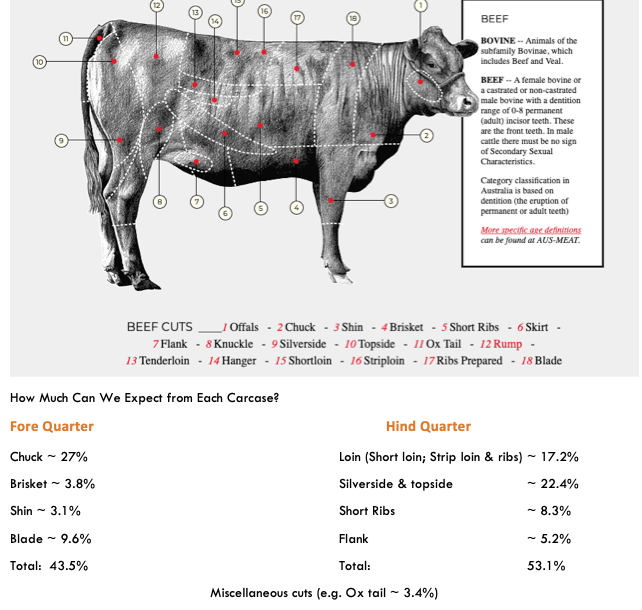 Screen Shot 2019-06-14 at 1.03.03 pm.png