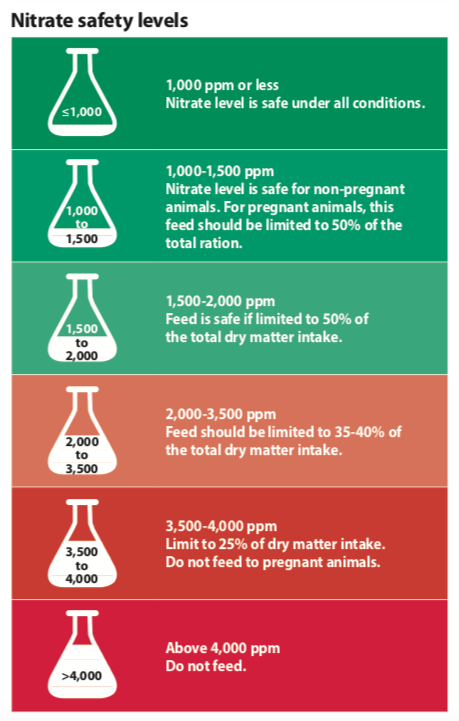 Screen Shot 2019-02-13 at 7.47.07 pm.png