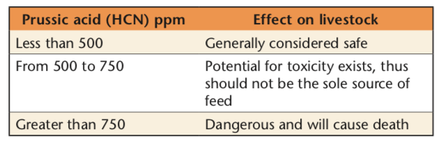 Screen Shot 2019-03-19 at 3.30.54 pm.png