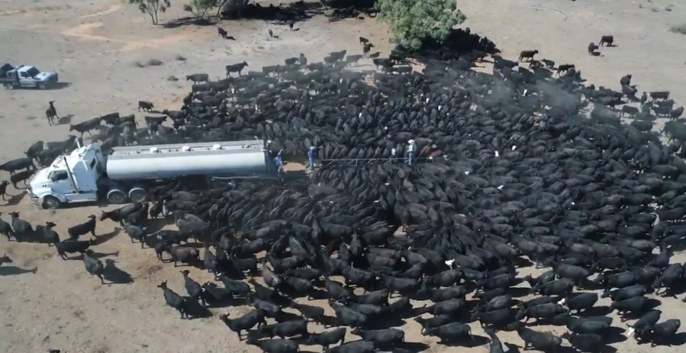 Screen Shot 2019-03-01 at 9.56.47 am.png