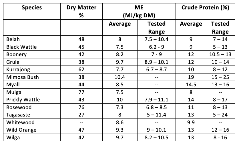 Screen Shot 2019-01-17 at 6.26.43 pm.png