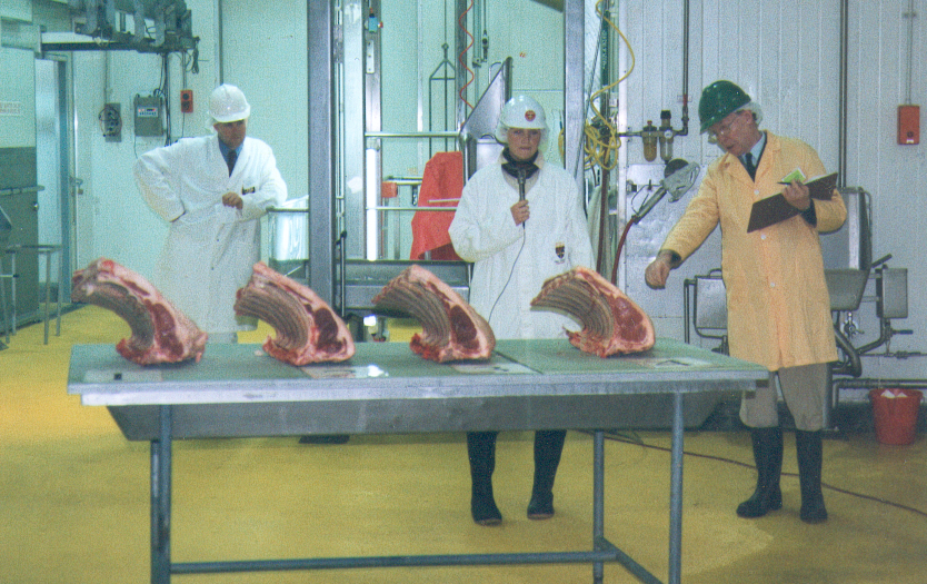 Screen Shot 2014-06-26 at 11.25.04 am.png