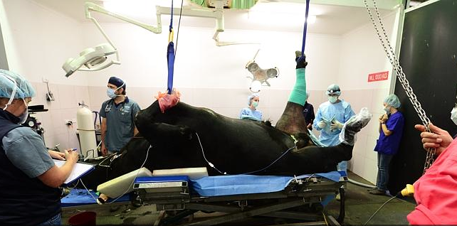 Screen Shot 2014-03-12 at 5.10.20 pm.png