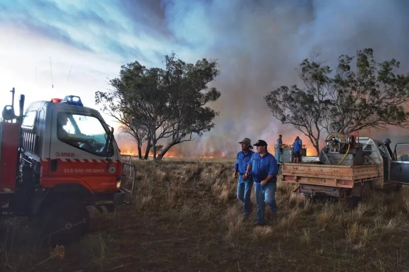 FXB319357_Hi-res_preview (1).jpg