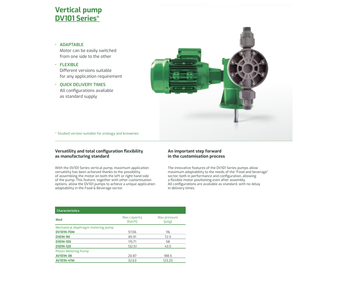 FPZ DV101 Vertical Pump metering pump brochure