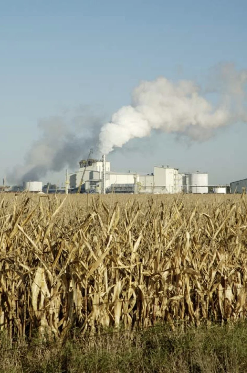 Industrial plant with steam behind a corn field