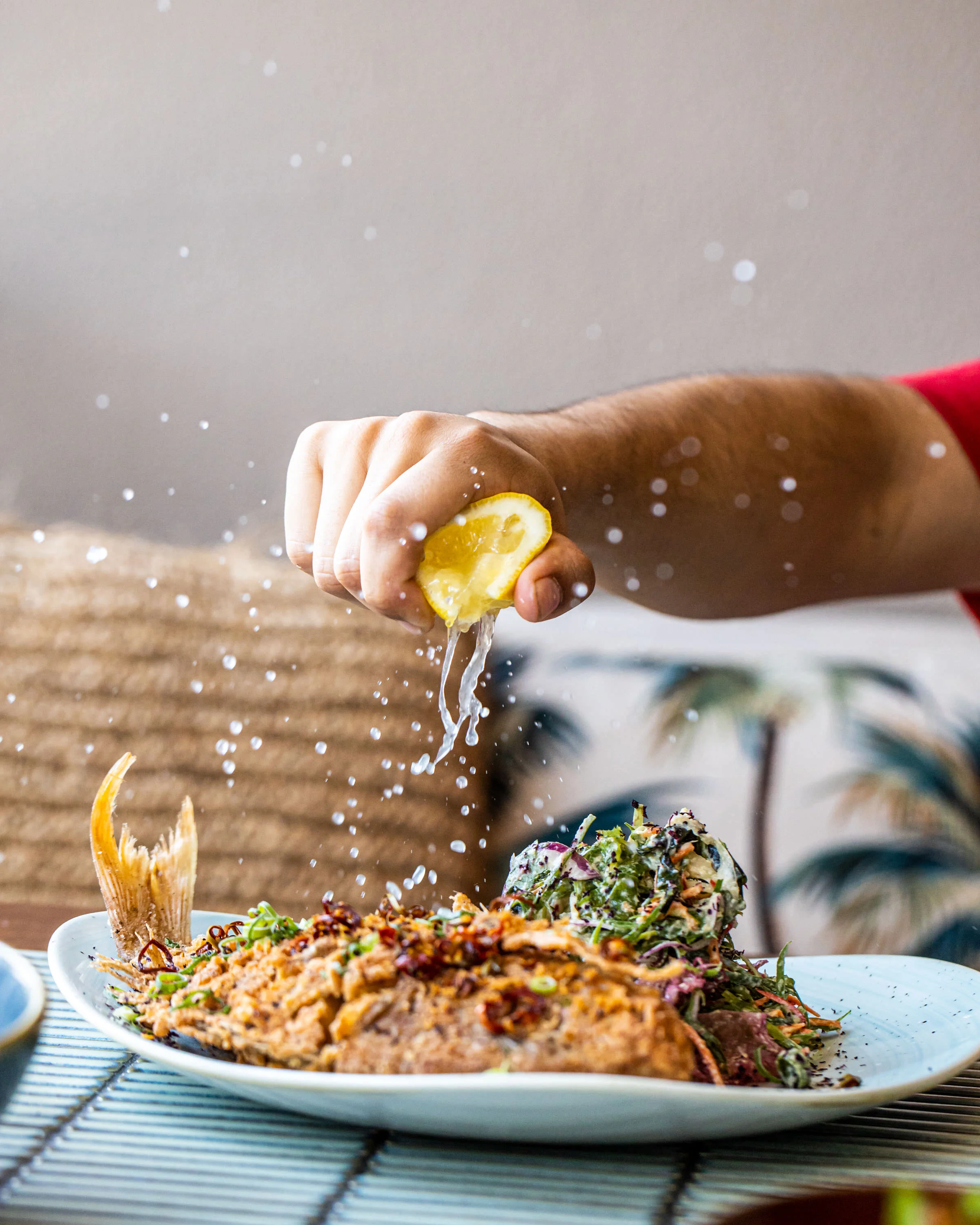 191101_Sugarcane_53 (1).jpg