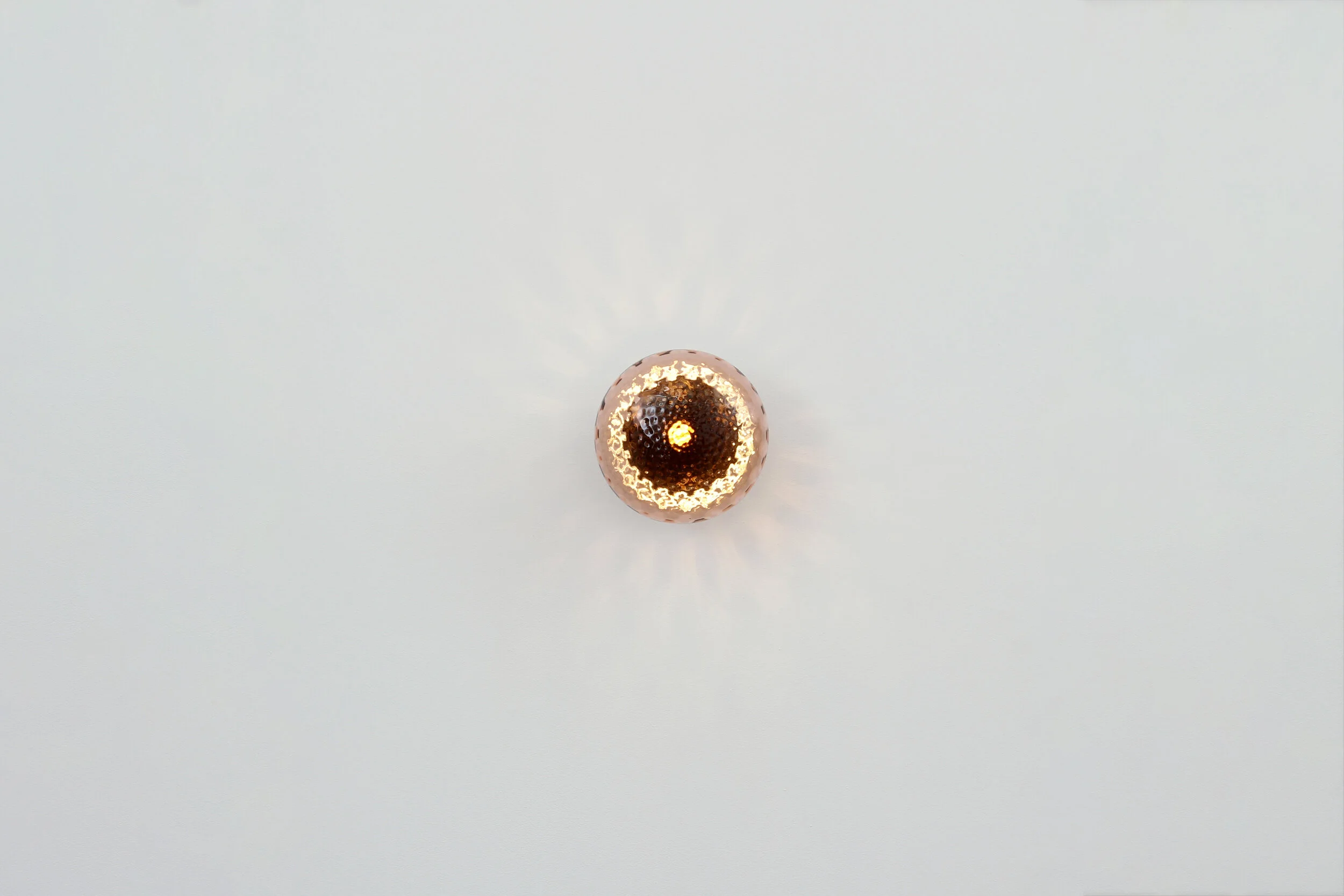 Dimple Apricot Front On.JPG