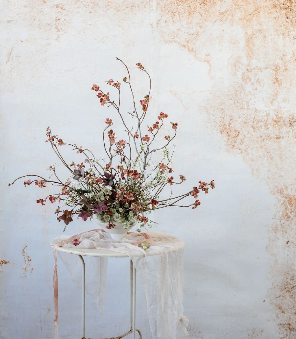  Image by Lucy Hunter 