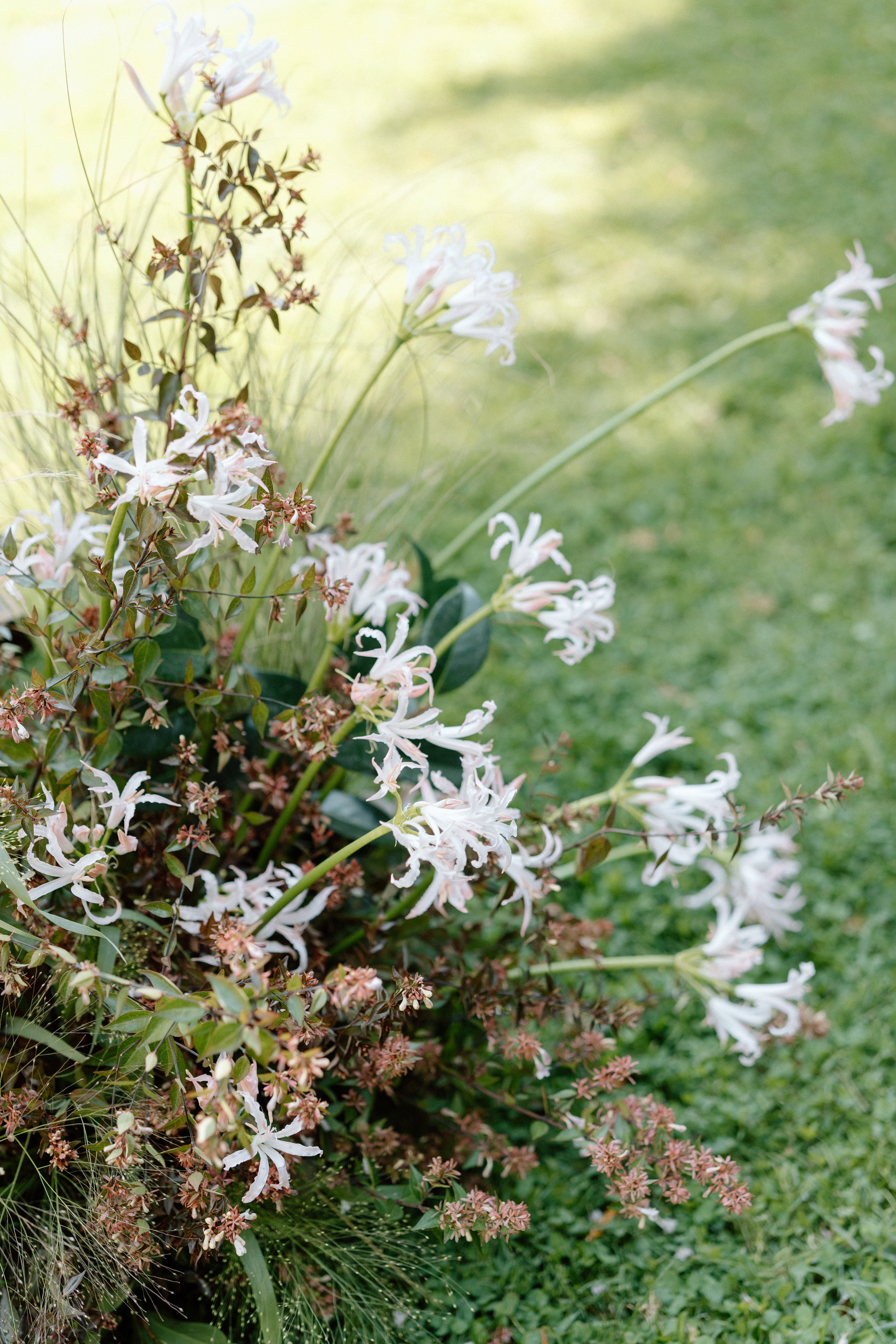  Image by Natacha Jolene Photo 