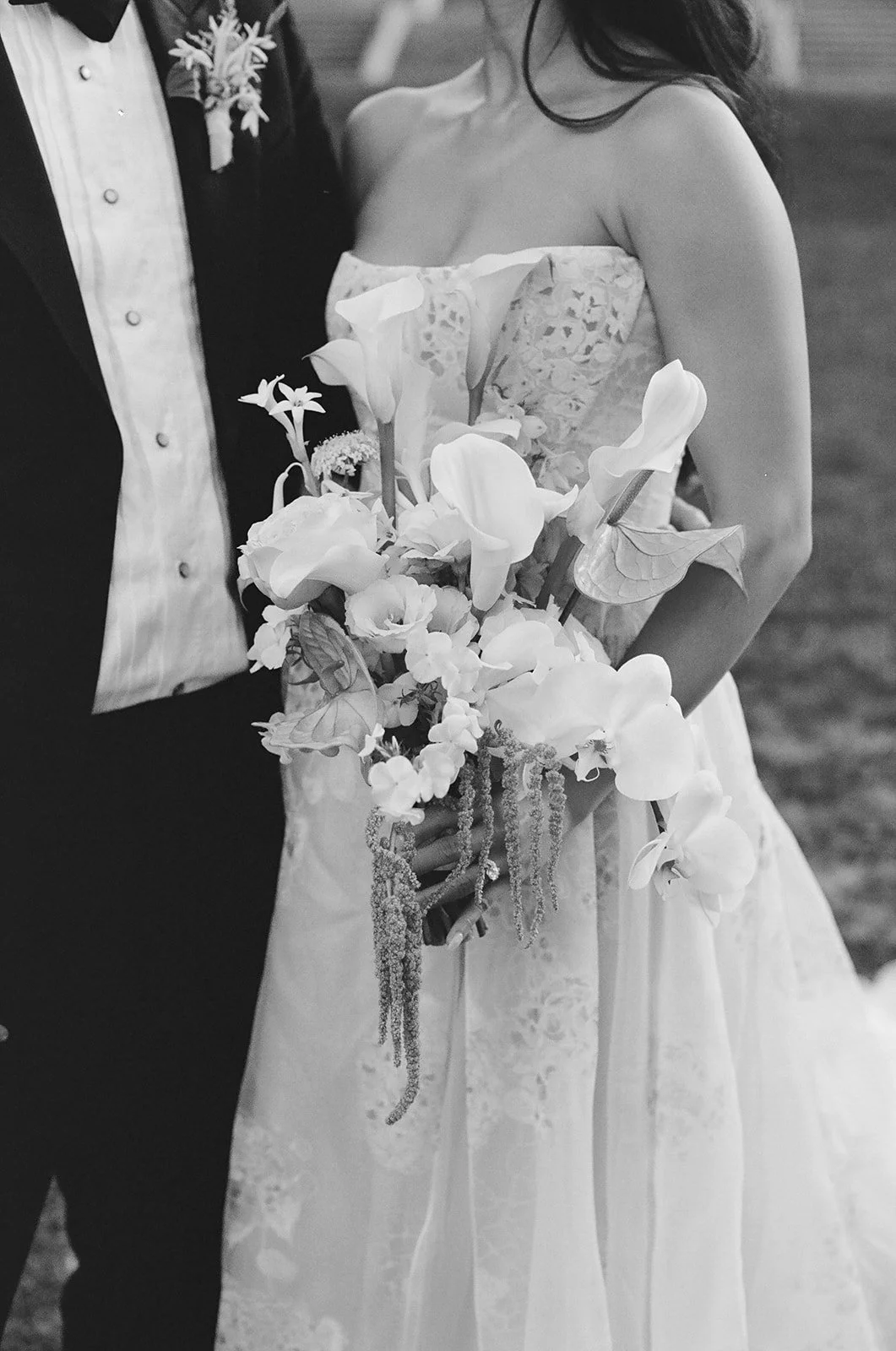  Image by Krista K Photo 