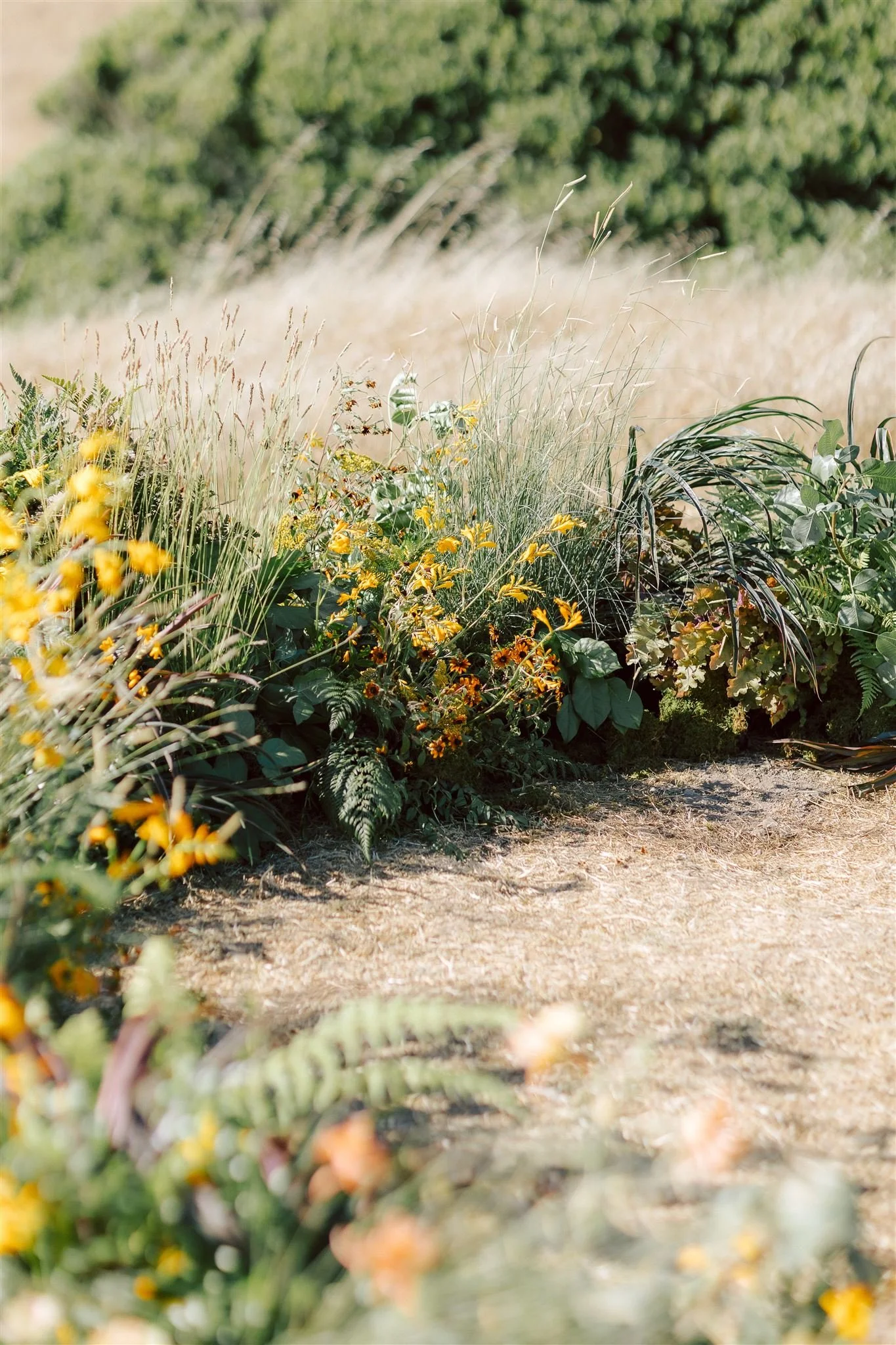  Image by Gretchen Gause Photography 