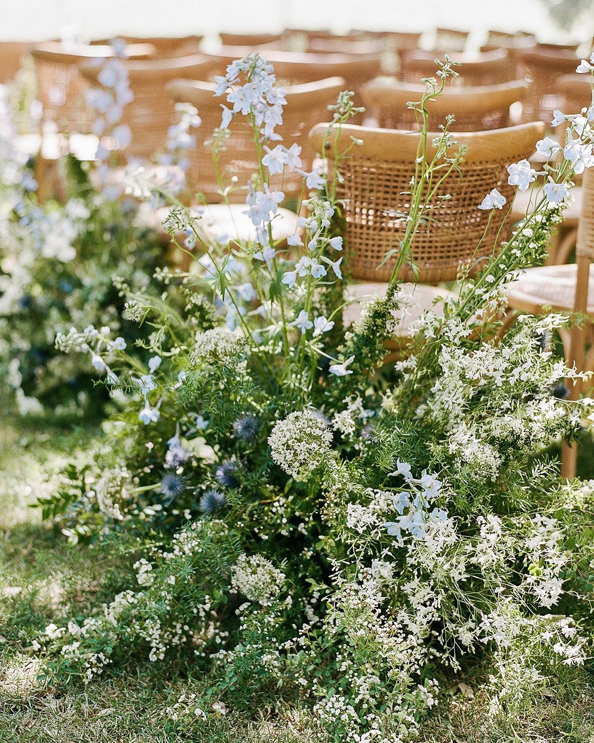 These aisle meadows for D &amp; N&rsquo;s wedding last month were filled with lots of locally grown goodies including the tallest delphinium, fluffiest white cloud larkspur, agrostemma and spirea 🤍🩵

photography // @theganeys 
planning &amp; design