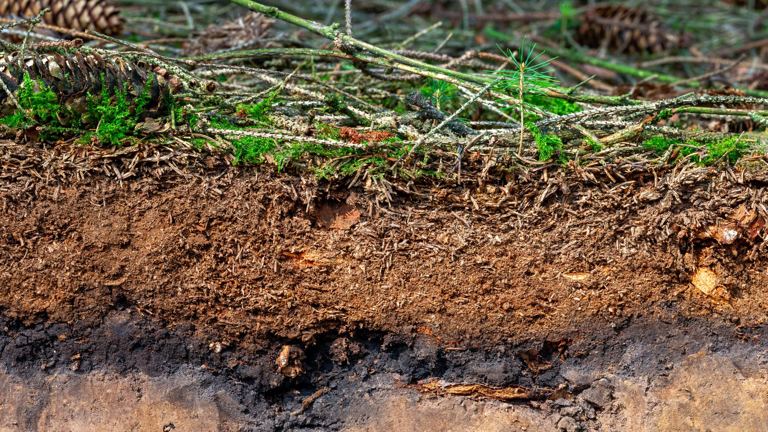 Credit where it's due