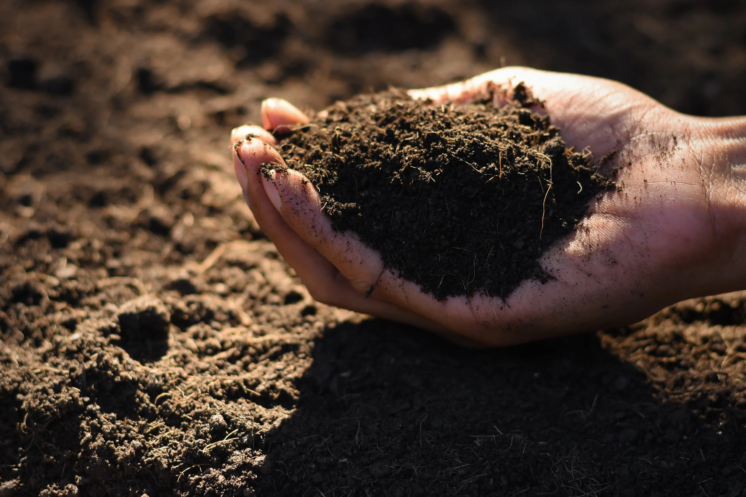 From the ground up: Unleashing the potential of soil