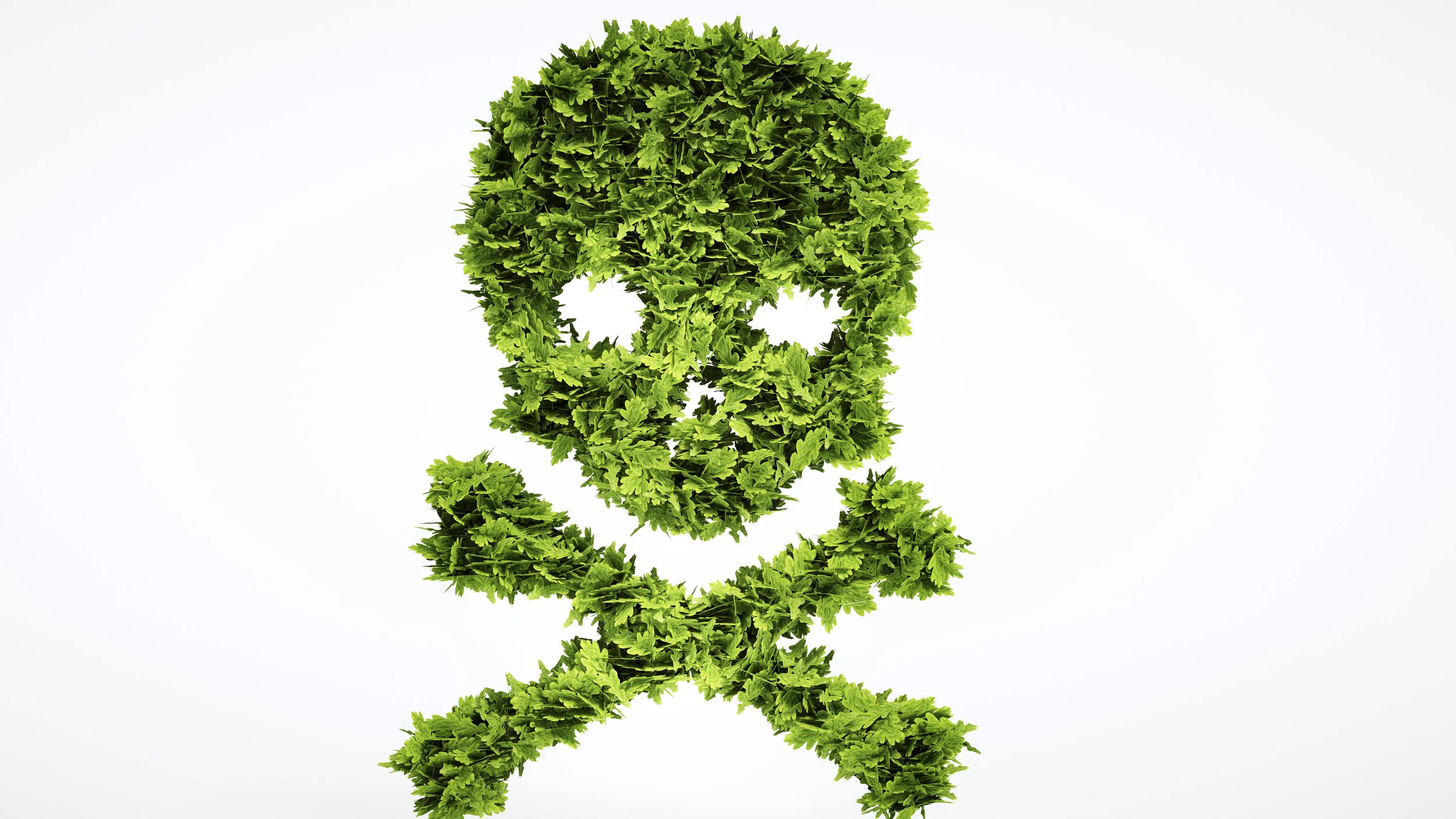 Countering climate extremism