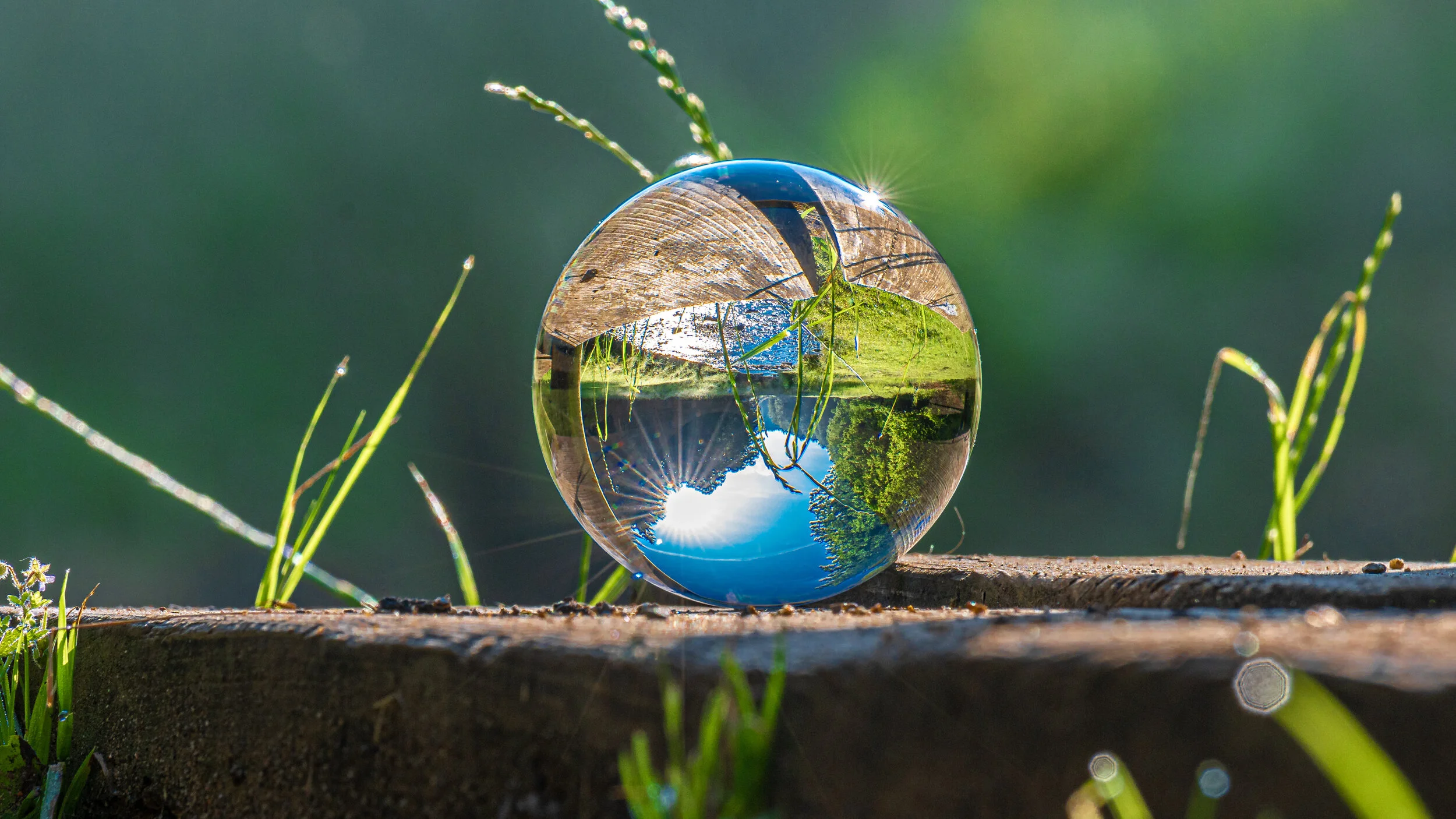 Banking on a sustainable future