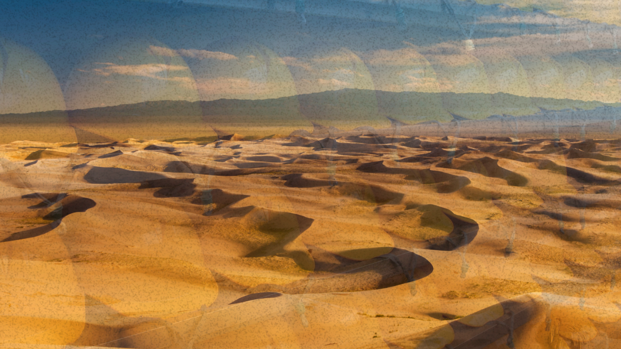 Gone to the Gobi